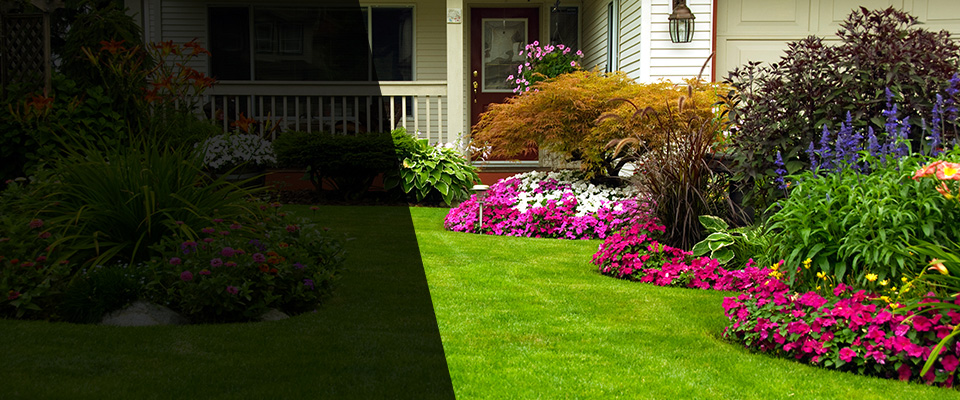 Fortuna Landscapers