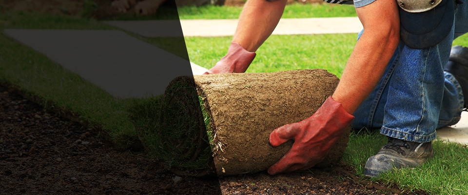 Fortuna Landscapers
